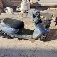 منغولي 2007 • شغاله • كربلاء حي الامام علي