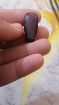 اكسسوارات شخصية • لعيونكم