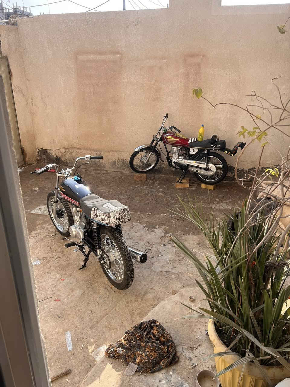 السلام عليكم دراجه البيع دراجه دراجة صارلها أسبوع من عمرتها دراجه جديده جديده بعدها على السحك 
انطيك بيها ضمان شهر الدراجه كملت علي ب850
اني مستعجل على بيعتها السعر750وبيها مجال الشراي هاذ 
***********موجود 24وعشرين ساعه واتساب وشريحه الشراي بخدمته
