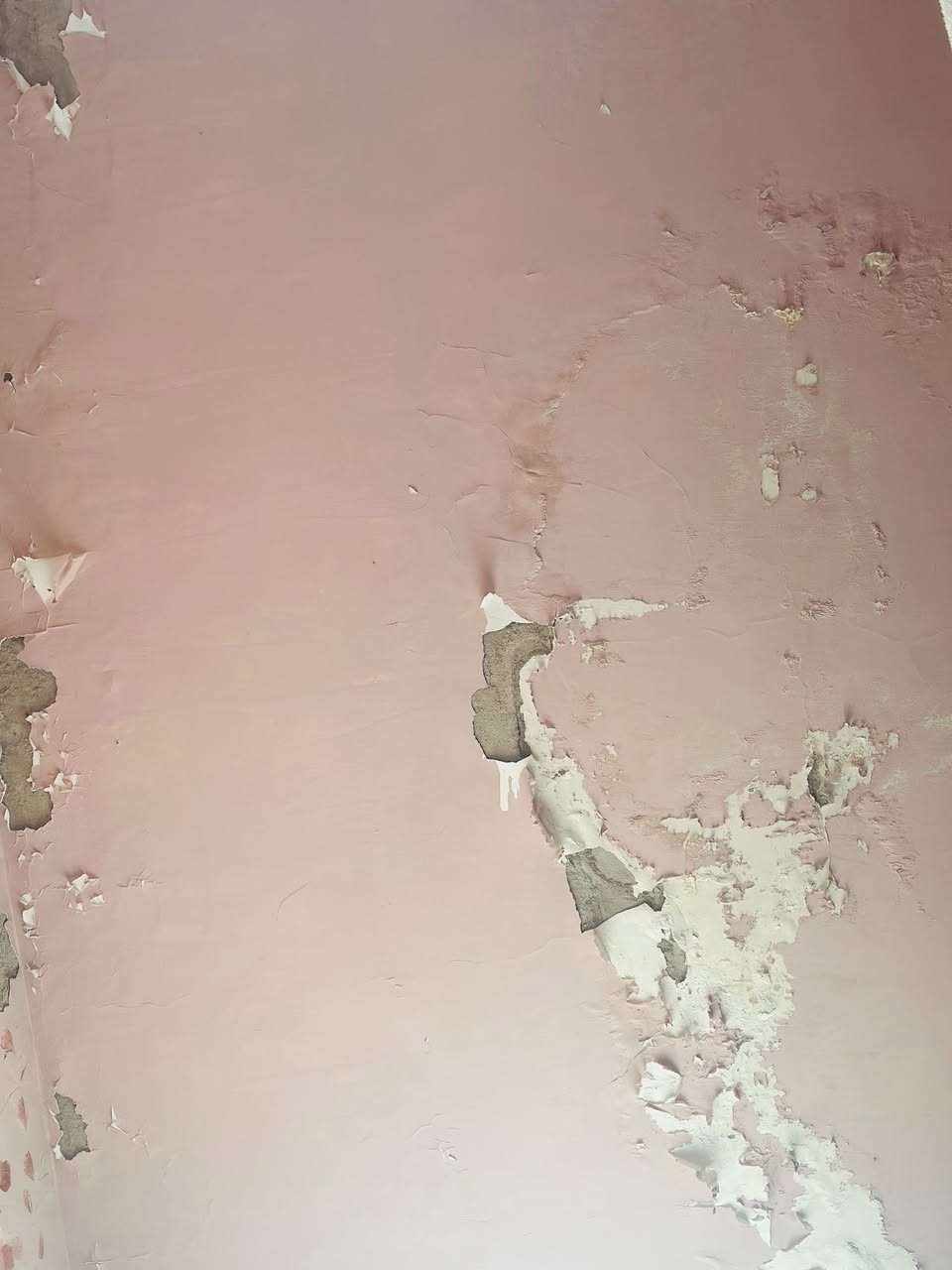سلام عليكم بيت البيع المساحه ١٠٠ متر موقع البيت شارع المستشفى قرب جامع قام ال محمد الفرع الي مقابيل المولده مال سليم لبيت بي ملاحضات قليله مثل ما موضح بصوره لبيتونه يراد الها تكشير ستفسار اكثر تصال عله رقم ‭٠٧٧٠ ٧٢٣ ٠٦٦٠‬

