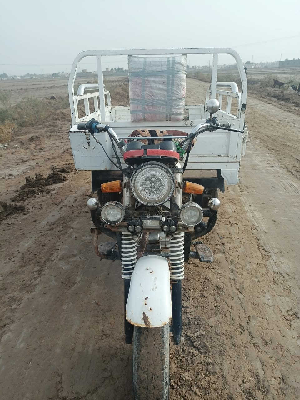 ستوته فحل 17 للبيع مكينه جديده اوراق اصولي سعر خاص


**إذا كنت صاحب هذا الإعلان وتريد حذفه لأي سبب، رجاءا أرسل رسالة إلى الدعم الفني**