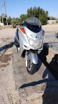 ماجسته • ياباني • سلف كهربايات