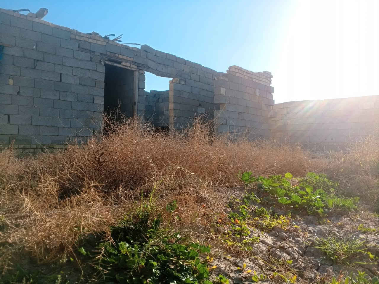 من رخصت الادمن سلام عليكم عندي قطعه بحي الحكيم للبيع بنزلة حسبنية الاحرار٢٨٠ متر مرقمة وباسمي بالقسم البلدي ومسيجه وباب  شارع بيها ومبني عليها غرفتين بلوك بدون سقف ماء وكهرباء بيها ومناسبه سعر ٧ ملايين وبيها مجال ***********
