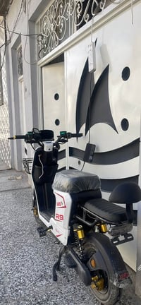 تفصيل خاص • دراجة كهربائية • سنغافورة