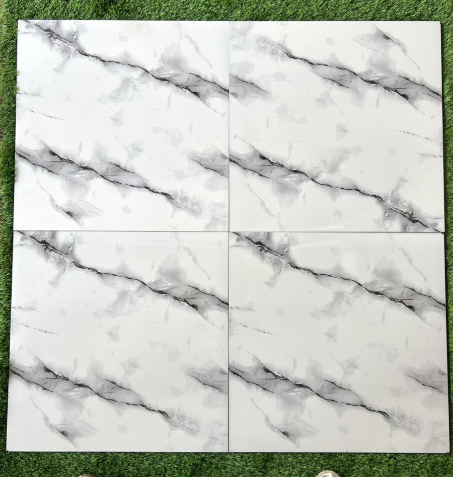 بورسلين 60/60سمك ثقيل
🌺🌸 أسعار جملة 🌸🌺
العنوان حي البتول قرب الجسر الفرنسي 
🥀*********** 🥀
