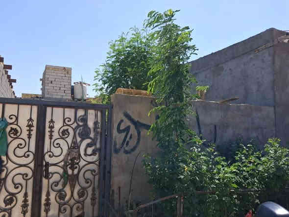 بيت زراعي للبيع ناصريه سديناويه مساحه ٢٤٠م بناء بلوك يتكون من ٣غرف وصالتين واستقبال ومجموعة صحيات خارجيه وداخليه.          سعره ٧٥ وبي مجال للاستفسار *********** او *********** مكتب نجمة الابداع
