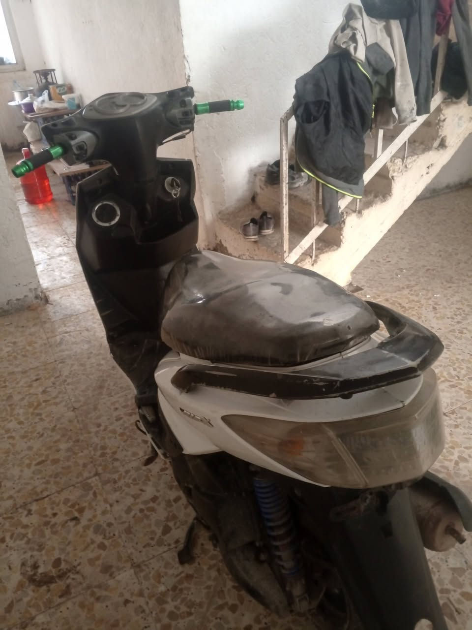 سلام عليكم سكنس فحل للبيع سعر 550بيه مجال 📞🫵 ***********
