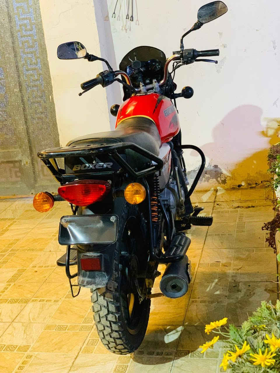 بوكسر جبلي 21 أوراق اصولي 
السعر/950
حله مركز المدينة 
***********
