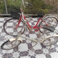 باسكلات • سعر خاص