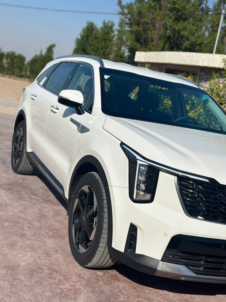 السلام وعليكم
سورنتو 2024 خليجي كفاله عامه 
عدا بارد بسيط بقبق جنطه 
وسونار مرفق بلمنشور  
رقم بغداد بأسمي تحويل مباشر
السياره ماشيه 53 الف جديده كلش
مكان سياره بابل 
السعر // اتصل وتدلل 
اللاتصال *********** او ***********
المواصفات 
بصمه + بصمه ابواب 
تشغيل عن بعد 
كير ماوس 
6 سلندر 
7 راكب  
شفتات مقود 
سايد بريك بصمه 
جنطه كهرباء 
كشنات كهرباء 
مري شفط 
كامره خلفيه دواره 
حساس امامي وخلفي 
شاشه متصله 
تبريد شاشه 
اوتو هولد
مود رايف
برد خلفيه
3 قطع تبريد 
اشاير بالمري
