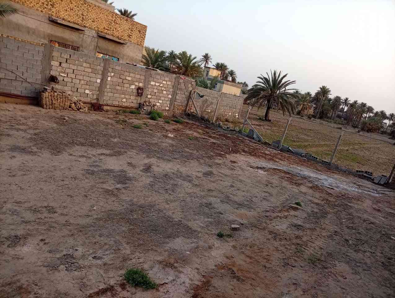 سلام عليكم ارض زراعيه
للبيع مساحتها 300 متر واجهه 15 نزال 20 

باسمي تحويل مباشر 

المكان فرع شيخ حبيب الحلاوي بنهايته 

والطريق الثاني نزلة ابو كيره نزلة بيت معله
للاتصال ***********

