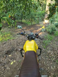 دايوان 2022 • بعقوبه القدس • كفالة