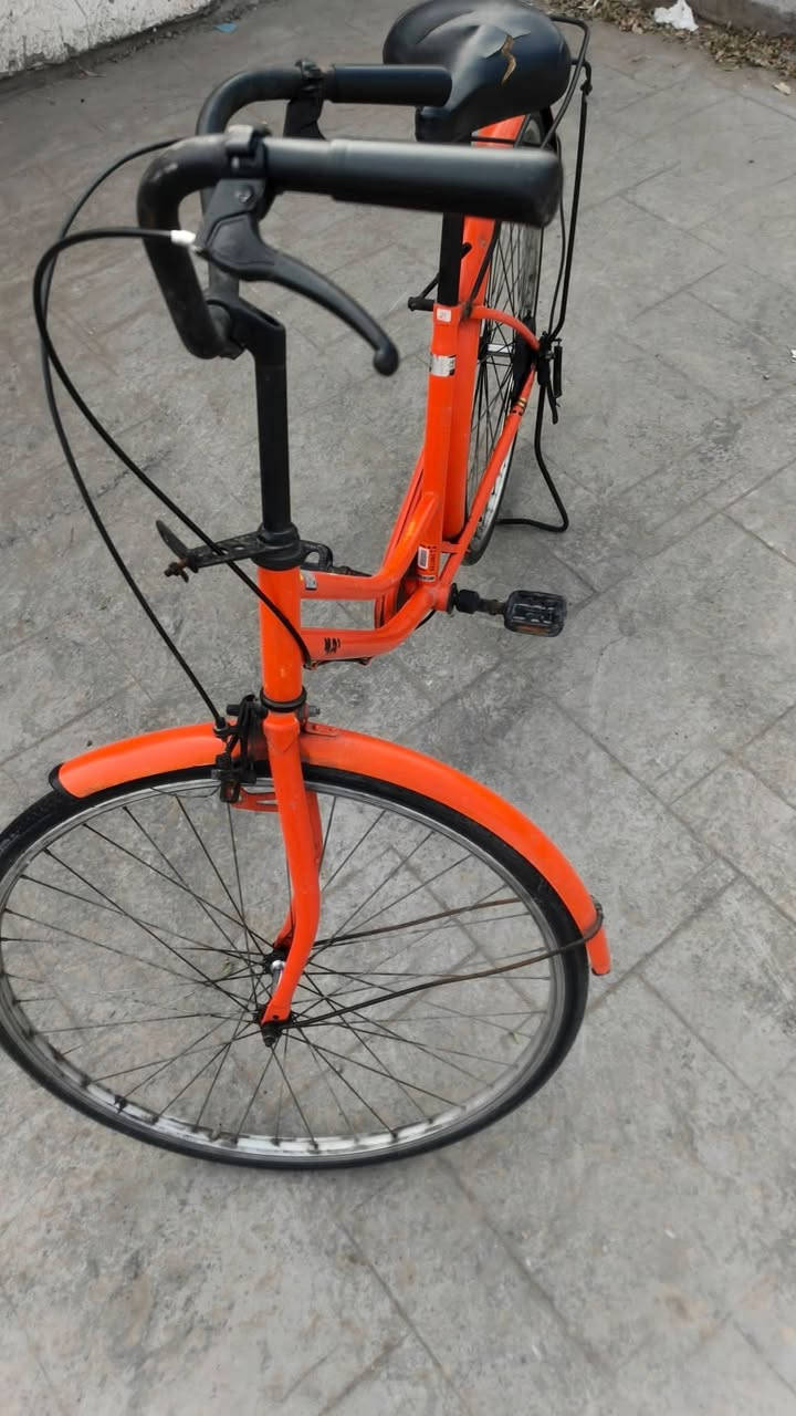 للبيع بايسكل بناتي حجم 27
السعر 90
مكاني بغداد مدينة الصدر
واتساب ***********
