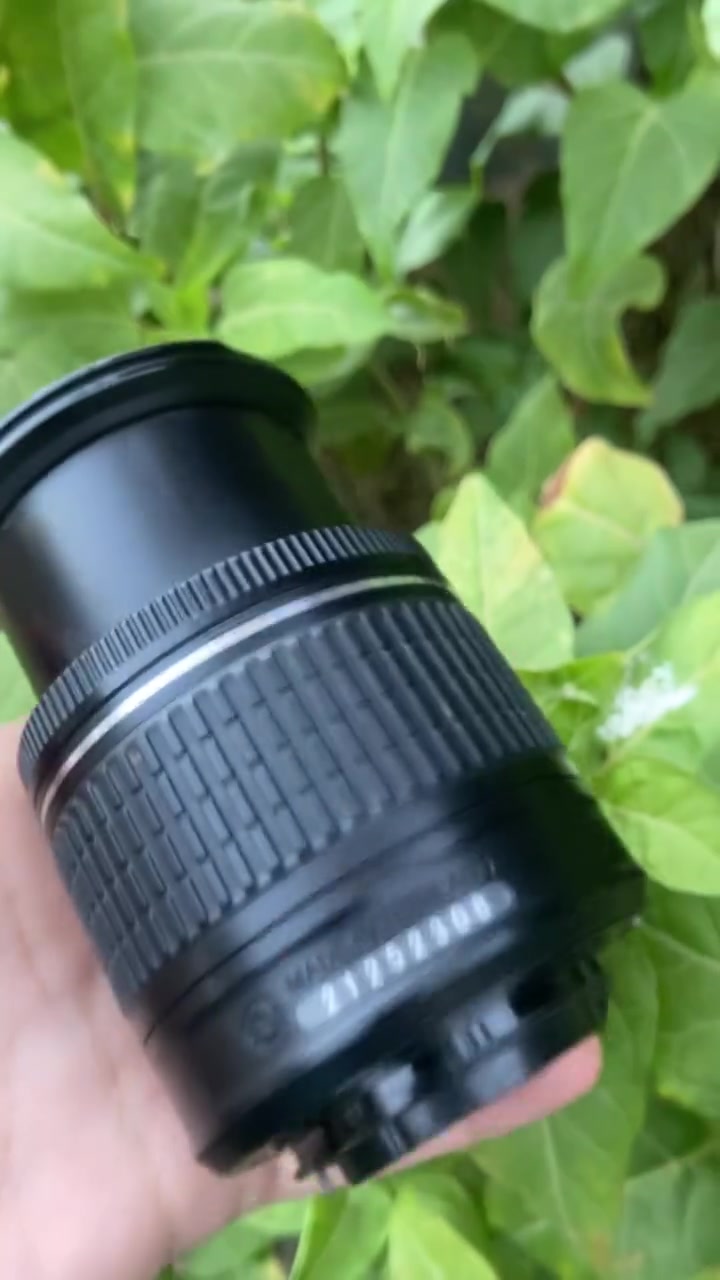 عدسه نيكون 55mm-18 
مستخدمه جداً قليل  السعر مناسب 75مع التوصيل


**إذا كنت صاحب هذا الإعلان وتريد حذفه لأي سبب، رجاءا أرسل رسالة إلى الدعم الفني**