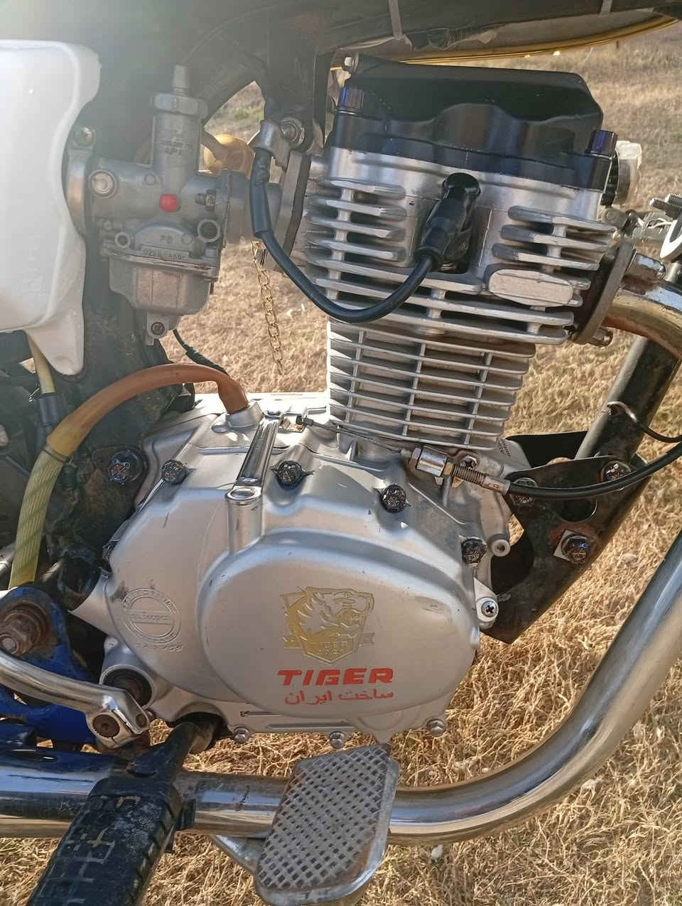 تايكر موديل 21 اوراق السعر 500 وبيهه مجال مكفوله كفاله عامه والسوك كلشي بي ***********
