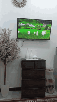 للبيع 20 دونم طابو 25 العيساويه ع طابو الفلوجه مزروعه حنطه ***********
***********
