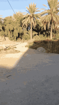 للبيع قطعة ارض مساحة 100 متر 
مربعة 10*10 زراعي قرار 25 
خدمات كاملة موقع بعقوبة حولي ام العضام مقابيل جامع سيد ابراهيم قريبة علشارع العام استفسار
***********
