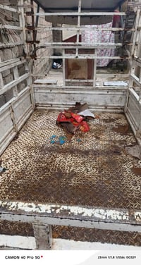 ستوته • ٢٠٢١ • بيه مجال