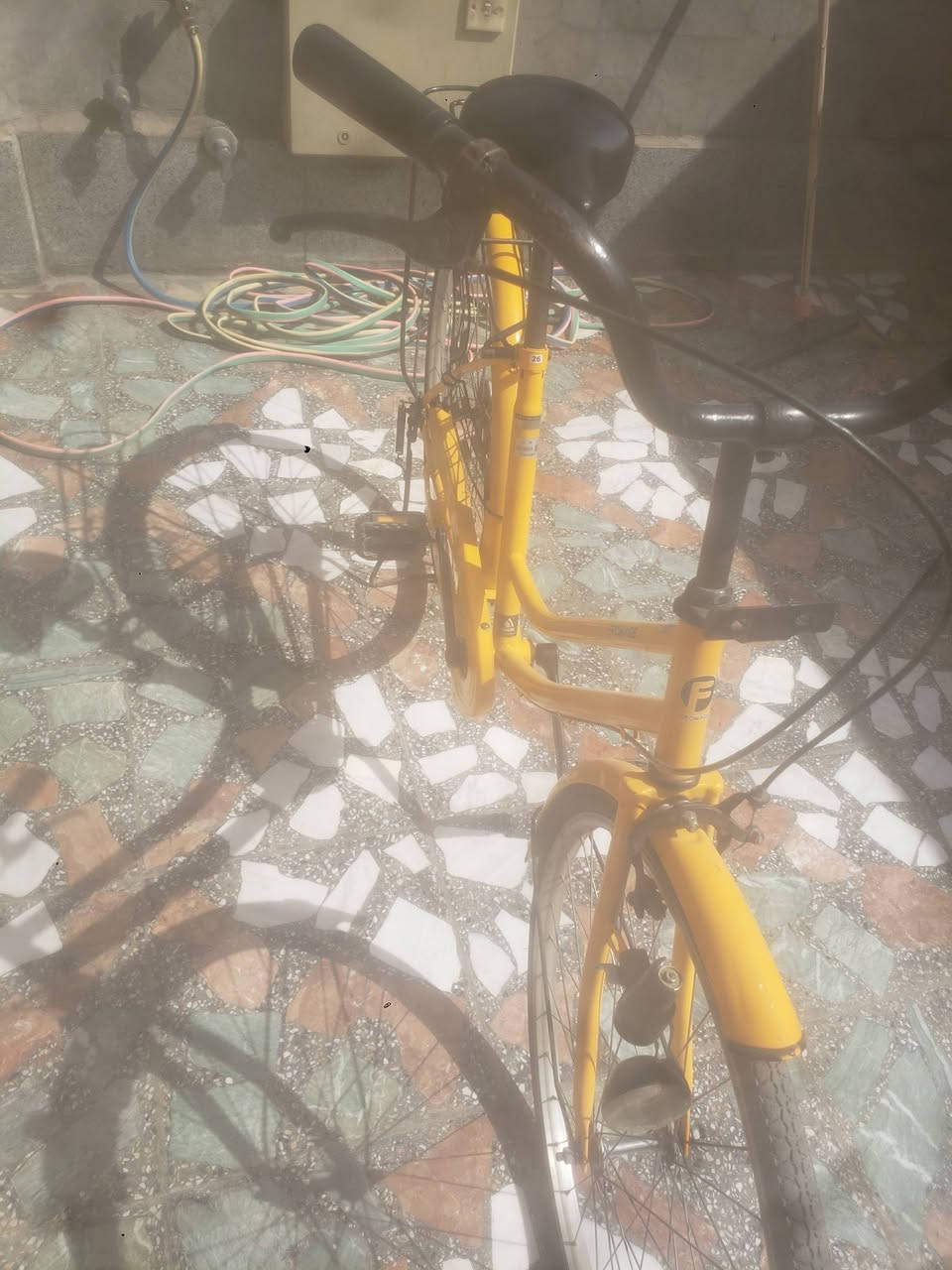 سلام عليكم باسكلات للبيع أو مراوس بكير شراي خاص


**إذا كنت صاحب هذا الإعلان وتريد حذفه لأي سبب، رجاءا أرسل رسالة إلى الدعم الفني**