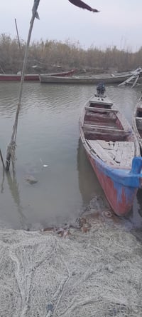 بلم • ذي قار • ناحية المنار