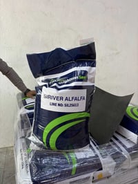 يتوفر بذور جت استرالي الصنف الفاً سلفر من شركة pGGالاسترالية ملائم للأ...