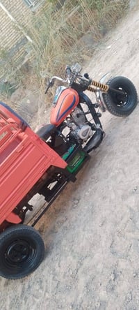 ستوته للبيع • رقم أبيض • سنوية ساقطة