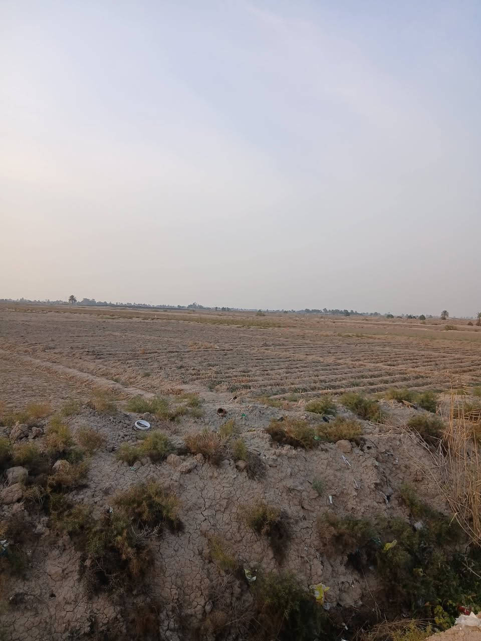 السلام عليكم ارض البيع ٢٠دونم مع بيوت اثنين حديثات العنوان بابل جبلة رشايد واتساب ***********
