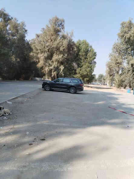 دورنكو ١٩ اصل محدثه ٢٤ بغداد  محرك ٣٦٠٠  تبديل بستم ١٤ يعني بانزين عادي تخبل سياره مواصفات حلوه تشغيل عن بعد  تحكمات جنطه شفط رادرات قياده ذاتيه وهواي مواصفات تخم تاير    سياره حادث امريكا بسيط كلين وصور بالمنشور وبالعراق تبديل جاملغ بنيد وصبغات بيه حداديه جديده  ممتعه بالقياده 
جاهزه ونعومه حيل  سعره   ١٧٠  بنجف ***********
