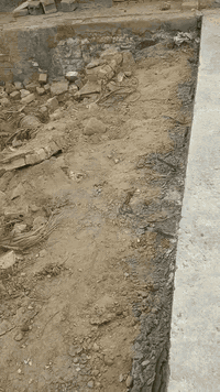 قطع للبيع 100 متر حمايه وكهربايه تبعد عني شارع 50 ***********تتراتب يا ابو القعقوبه مباشر سعر مالتها سعر مالته بسته
