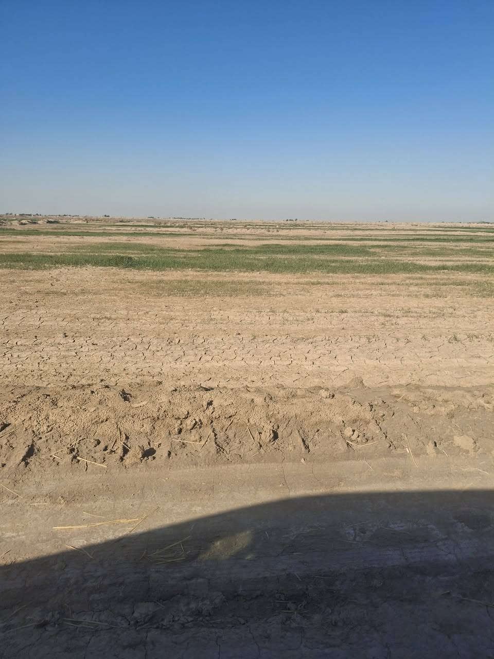 السلام عليكم من رخصة مدير الكروب المحترم أرض زراعيه ١٥ دونم للبيع وره الساير تبعد عن الساير ٤ كيلوات السعر ٣٠ وبيها مجال للإستفسار الاتصال بالرقم/*********** /مكلف بالنشر
