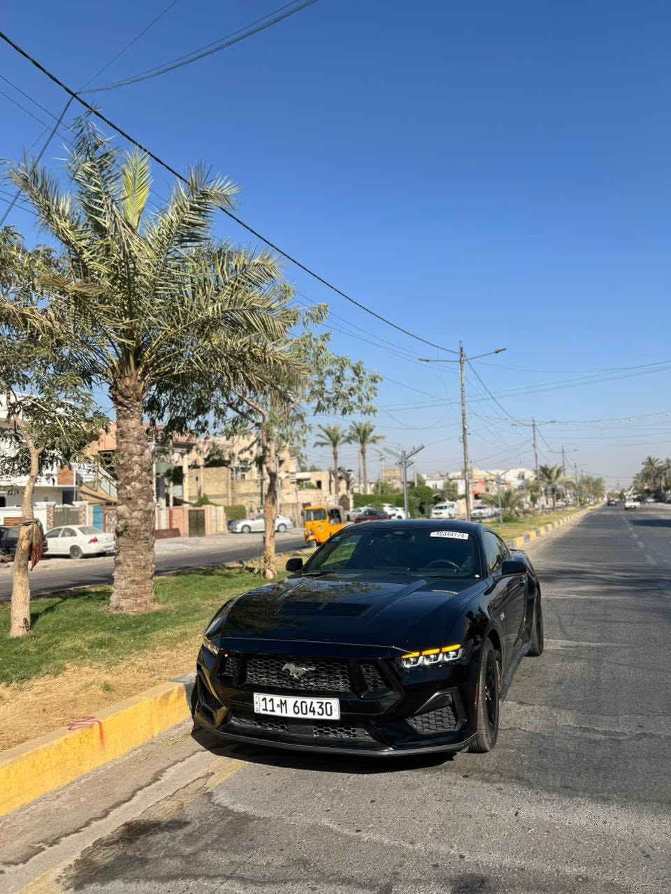 اسلام عليكم 
موستنك GT 24
سيارة جديدة ماشية ١٠٠٠ محركها 8  
حادث موضح بل صور
سيارة جديدة كلش مواصفات الموستنك معروفة هنبريك بصمة 
تشغيل عن بعد شاشات جبيرة  
للاتصال ***********
