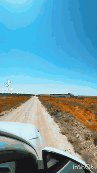 دونمين طابو سند ٢٥ بمنطقة مميزه جداً  تبعد خمس دقائق حقيقيه عن نهر ذراع دجله  الظاهر بالفيديو بمنطقة التاجي .. الأرض هي القطعه الثانيه عن الذراع .. الدونم الواحد ٢٠٠٠ متر تسجل كدونم واقع حال للإستفسار الإتصال على الرقم ***********
ملاحظه // تباع دونم او دونمين
