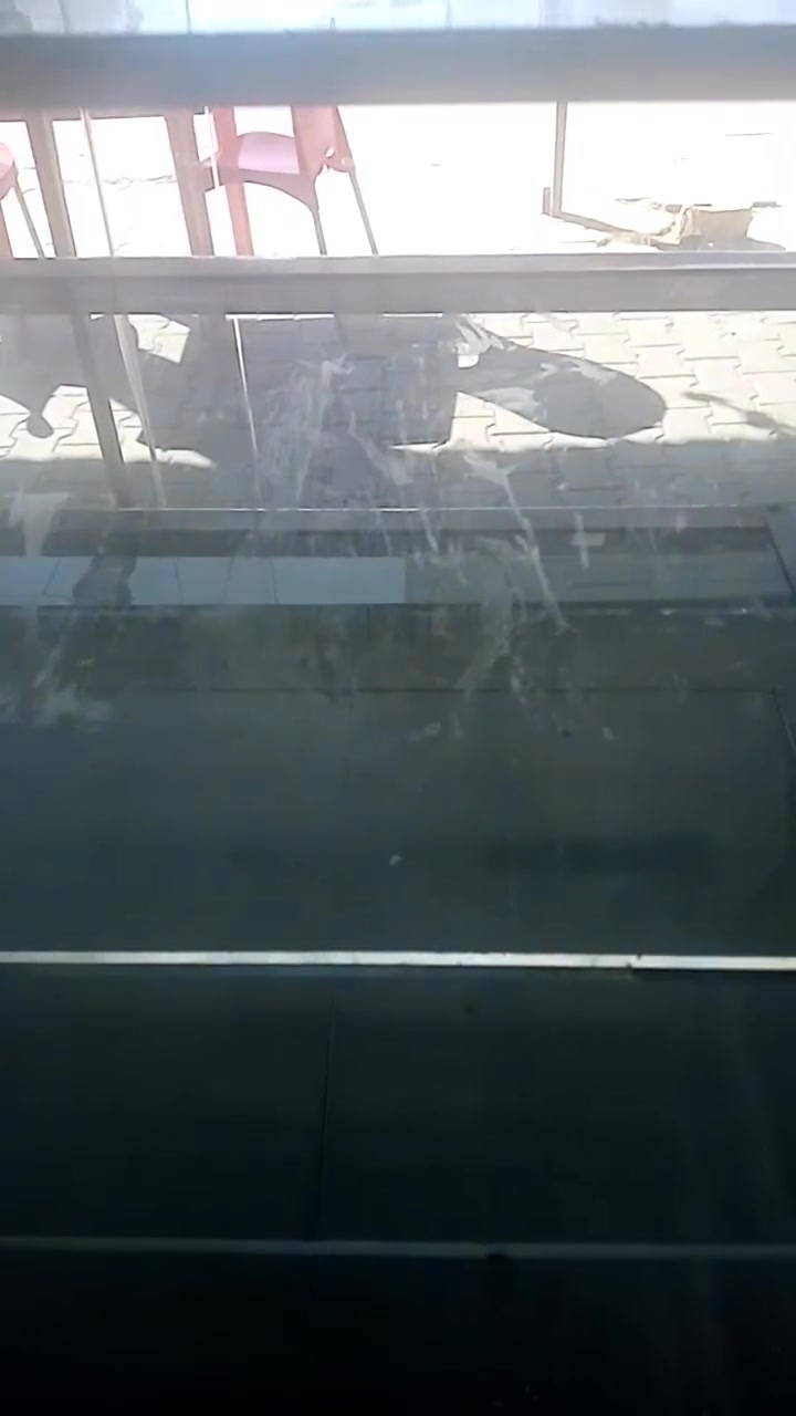 عارضت كيك كبيره استيل اربع طوابق بدون ماطور يعني عاطل ٤٠٠ الف قضاء الشيخان بيع سريع


**إذا كنت صاحب هذا الإعلان وتريد حذفه لأي سبب، رجاءا أرسل رسالة إلى الدعم الفني**