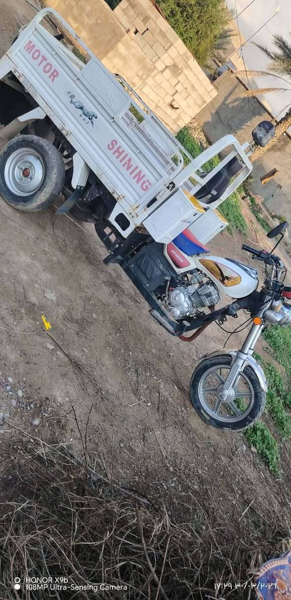 يا الله
السلام عليكم ستوته للبيع فحل عاالي مديل 2023

فول 1/1مكفولة كفالة عامه

اي نقص مابيها 

دشبول اكتروني ويل صب
اوراق وبليته كامل 
المكان ديالى دلي عباس

الشراي يخابرر عل رقم ويدلل ***********

مو شراي اعبر المنشور ❤

وتحياتي للجميع❤
