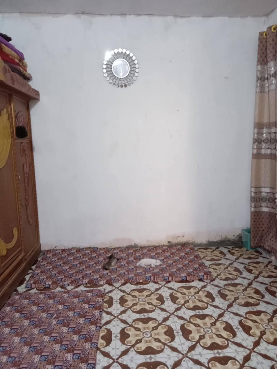 السلام عليكم 
دار سكن ١٠٠م مسلح الأرض سيراميك العنوان ديالى الكاكون الرازي الحولي السعر ٢٥ وبيه مجال متواجد عالفيس


**إذا كنت صاحب هذا الإعلان وتريد حذفه لأي سبب، رجاءا أرسل رسالة إلى الدعم الفني**