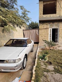 مارك عضم • مكفولة • نجف عباسية