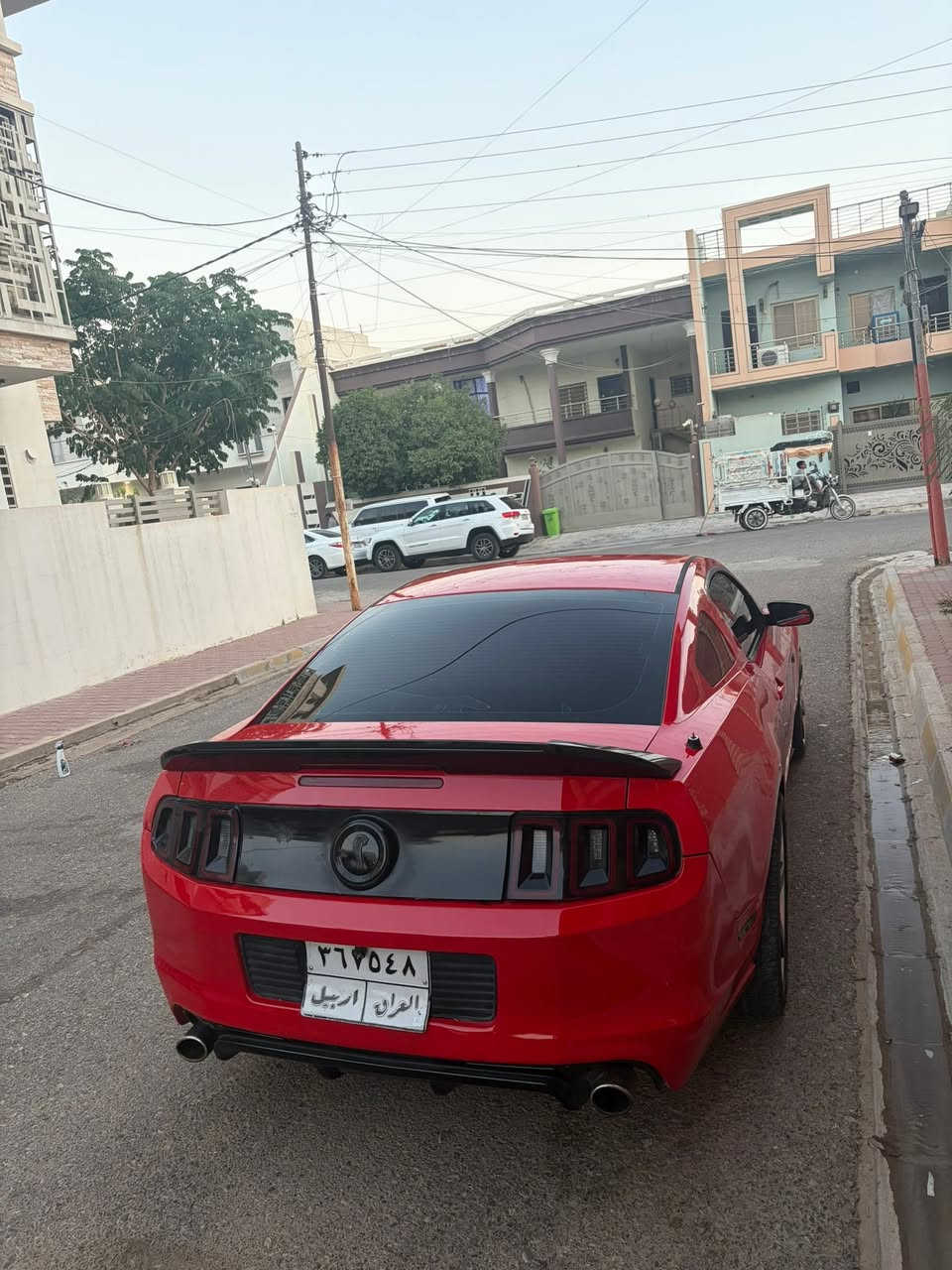 فقط بيع بدون مراوسه
فورت موستانك  
موديل 2013 
محرك 3700 V6 
كير محرك شرط ممفتوح بدون عيب 
((صبغ عام جماليه ))
دواخل نضيف بدون نواقص 
تبريد شغال 
سقف روز رايز 
لحيه RTR 
دفيوزر جيتي 
لايتات امامي محدث 2015 
بونيت تحديث سيلفاني
جناح RTR 
وياله فويزن حجم 20 
عليها 4 تايرات لوك ميشلان 
سياره حلوه بمعنا الكلمه 
مكان سياره كركوك 
للستفسار اكثر اتصاال او خاص 
***********

