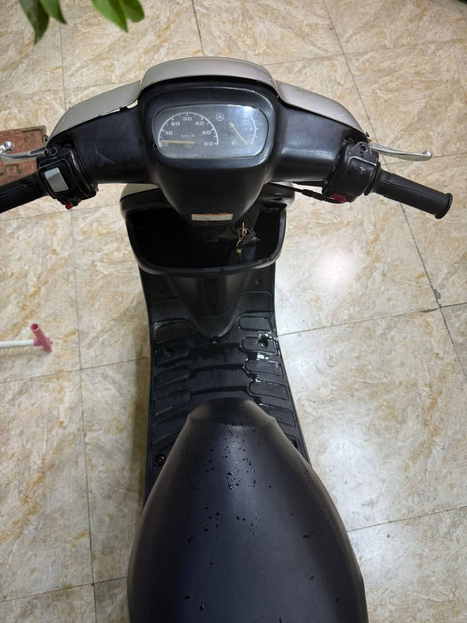 سلام عليكم دراجه بتره للبيع دراجه فول نضافه كدام عينك دراجه كامله بس اشاره مابيه فقط صارله ٤ اشهر طالعه حاويه عنواني ناصريه مركز  رايده ب ٦٥٠ وبيه مجال لطيبين رقمي ***********
