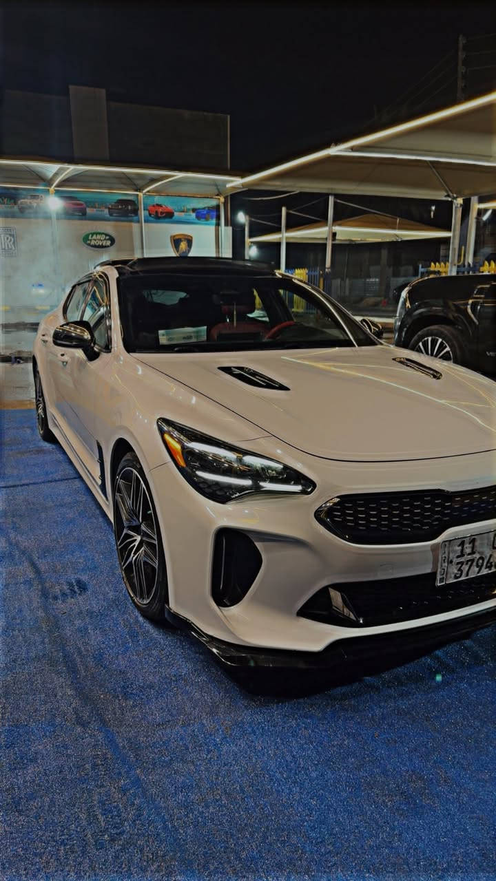 السلام عليكم
كيا ستنكر 2022

 فول Gt1

3.3تون تيربو 

ماشيه 27mi

رقم بغداد بأسمي

حادثها موضح بالصور 

جاملغ بارد+بنيد بارد+ القطعه البلاستك مال الرقم الخلفي مبدله نفس ألون والحوض بي صبغ بسيط 

السعر 225 او مراوس حسب القناعه 

مكاني بغداد حي الجامعه 

0776 523 2002
