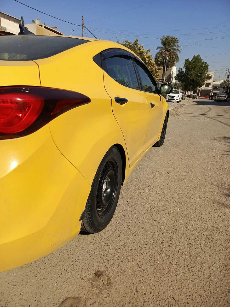 تفاصيل داخل الصور
