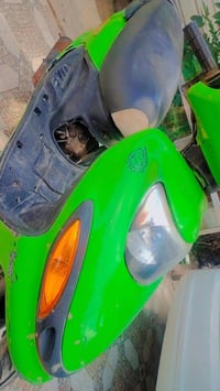 دولفين • شغالة • عوزها ترتيبات