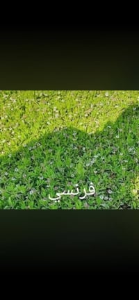 07781992324/07832589631