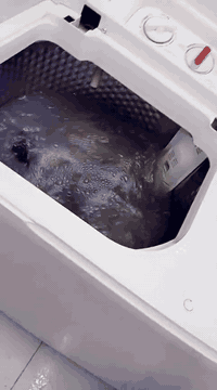 السلام عليكم غراض للبيع
‏غسالة شغاله نقصه فقط غطاء الغسل سعرها 75
‏ميز طعام خشب جديد انتيكه 85
‏كاونتر نضيف تسكام ضرر صغير موضح بالصورة 
‏نهايته 100
‏العنوان حي البساتين 
‏***********
