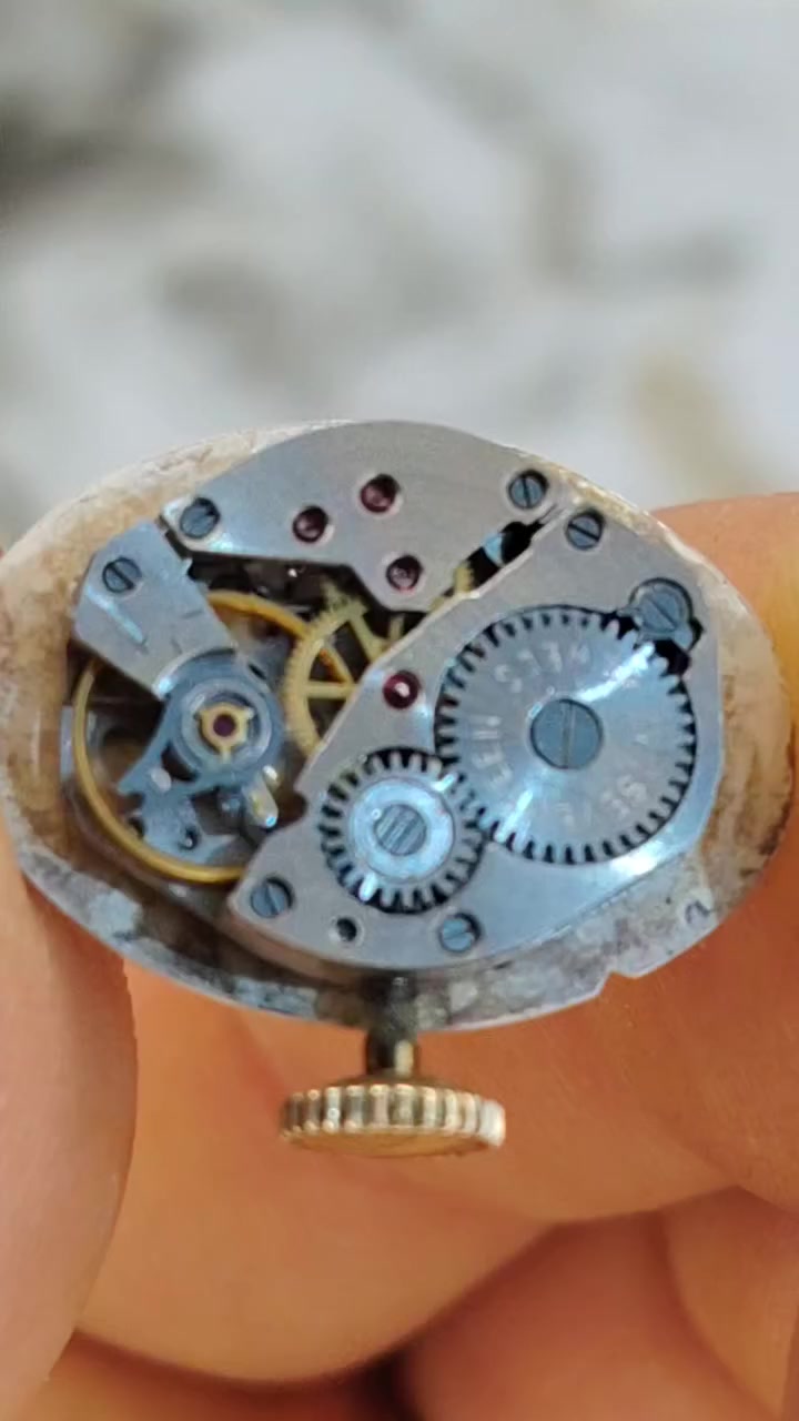 ساعة نسائي نصب تكويك سويسري اصلي فنتج نظيفه جدا شغاله مظبوطه جميلة جدا سعره مع توصيل 30


**إذا كنت صاحب هذا الإعلان وتريد حذفه لأي سبب، رجاءا أرسل رسالة إلى الدعم الفني**