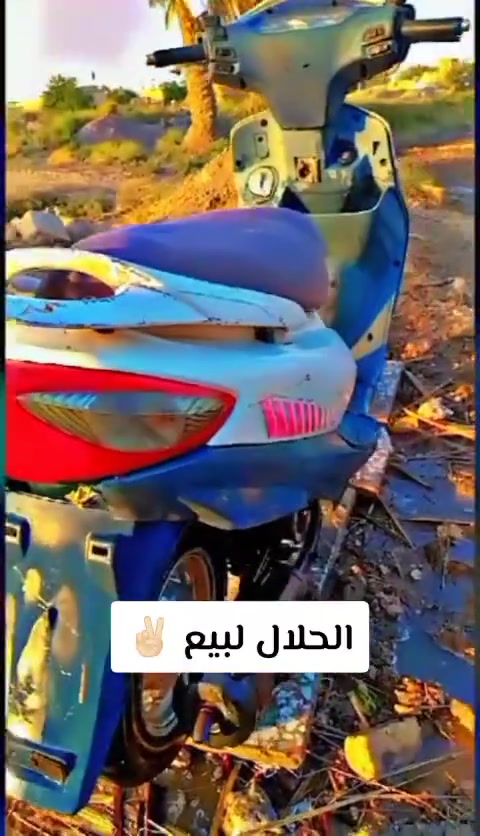 دراجه لبيع كامكو 290 بيه مجال قليل


**إذا كنت صاحب هذا الإعلان وتريد حذفه لأي سبب، رجاءا أرسل رسالة إلى الدعم الفني**