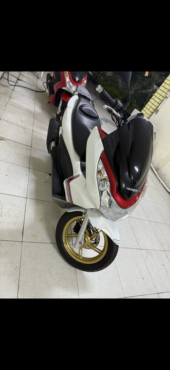 بي سي اكس جيل الاول سعرها 13 ورقه عنوان المشتل  مامتواجد عل فيس رقم تلفوني ***********
