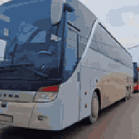 زيارة كربلاء • يوم الأربعاء • تجمع شارع الخليج