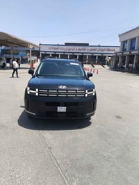 سنتافي ٢٠٢٤ • ٢٦ الف • وارد امريكي