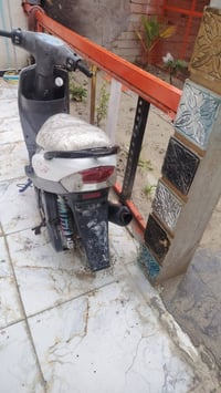 ماكس منغولي • ٤٩ • مكفوله