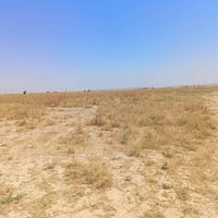 قطعة أرض زراعي مساحته 11،5 دونم طابو صرف شرط التحويل الموقع طريق جرداغ...